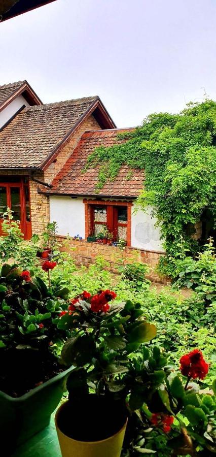 Ilkicev Kucerak Apartman Врдник Экстерьер фото